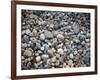 Pebbles, Little Hunters Beach-Michael Hudson-Framed Art Print