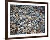 Pebbles, Little Hunters Beach-Michael Hudson-Framed Art Print