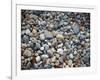 Pebbles, Little Hunters Beach-Michael Hudson-Framed Art Print