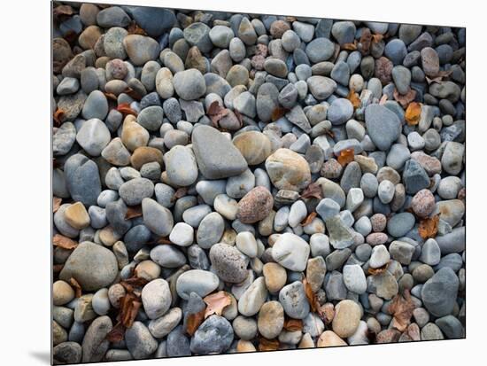 Pebbles, Little Hunters Beach-Michael Hudson-Mounted Art Print