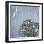 Pebbles on Boulder-Micha Pawlitzki-Framed Photographic Print