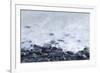 Pebbles on Playa Blanca, Lanzarote, Yaiza, Spain-Guido Cozzi-Framed Photographic Print