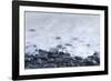 Pebbles on Playa Blanca, Lanzarote, Yaiza, Spain-Guido Cozzi-Framed Photographic Print