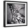 Pebbles Trapped Between Larger Rocks on Beach, Taransay, Outer Hebrides, Scotland, UK-Lee Frost-Framed Photographic Print