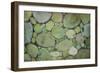 Pebbles-Kari Taylor-Framed Giclee Print