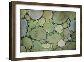 Pebbles-Kari Taylor-Framed Giclee Print