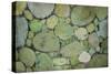 Pebbles-Kari Taylor-Stretched Canvas