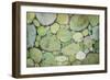 Pebbles-Kari Taylor-Framed Giclee Print