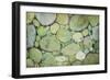 Pebbles-Kari Taylor-Framed Giclee Print