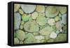 Pebbles-Kari Taylor-Framed Stretched Canvas