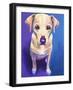 Pebbles-Dawgart-Framed Giclee Print