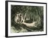 Pecaris Peru 1869-null-Framed Giclee Print