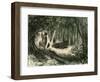 Pecaris Peru 1869-null-Framed Premium Giclee Print