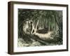 Pecaris Peru 1869-null-Framed Giclee Print