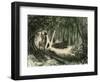 Pecaris Peru 1869-null-Framed Giclee Print