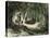 Pecaris Peru 1869-null-Stretched Canvas