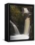 Pecca Falls, Ingleton Waterfalls Walk, Yorkshire Dales National Park, Yorkshire-Neale Clarke-Framed Stretched Canvas