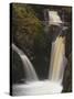 Pecca Falls, Ingleton Waterfalls Walk, Yorkshire Dales National Park, Yorkshire-Neale Clarke-Stretched Canvas