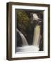 Pecca Falls, Ingleton Waterfalls Walk, Yorkshire Dales National Park, Yorkshire-Neale Clarke-Framed Photographic Print