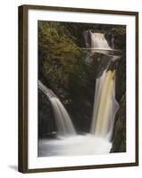 Pecca Falls, Ingleton Waterfalls Walk, Yorkshire Dales National Park, Yorkshire-Neale Clarke-Framed Photographic Print
