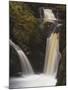 Pecca Falls, Ingleton Waterfalls Walk, Yorkshire Dales National Park, Yorkshire-Neale Clarke-Mounted Photographic Print