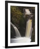 Pecca Falls, Ingleton Waterfalls Walk, Yorkshire Dales National Park, Yorkshire-Neale Clarke-Framed Photographic Print