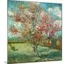 Pêcher en fleurs (Souvenir de Mauve) (Détail)-Vincent van Gogh-Mounted Art Print