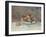 Pêches-Pierre-Auguste Renoir-Framed Giclee Print