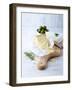 Pecorino and Brie Cheese on a Kitchen Board-Barbara Dudzinska-Framed Photographic Print