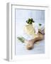 Pecorino and Brie Cheese on a Kitchen Board-Barbara Dudzinska-Framed Photographic Print