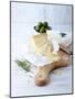Pecorino and Brie Cheese on a Kitchen Board-Barbara Dudzinska-Mounted Photographic Print
