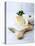 Pecorino and Brie Cheese on a Kitchen Board-Barbara Dudzinska-Stretched Canvas