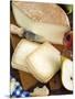 Pecorino Cheese, Tuscany, Italy-Nico Tondini-Mounted Photographic Print