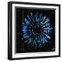 Pedal Whisper-Tyson Estes-Framed Giclee Print