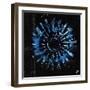 Pedal Whisper-Tyson Estes-Framed Giclee Print