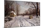 Wood Mount