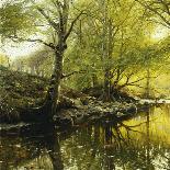 A Wooded River Landscape, 1893-Peder Mork Monsted-Giclee Print