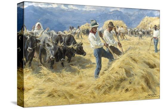 Stretched Canvas Print, , large