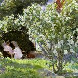 Roses, or the Artist's Wife in the Garden at Skagen, 1883-Peder Severin Kryer-Framed Stretched Canvas