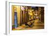 Pedestrian Area, Santa Cruz De La Palma, La Palma, Canary Islands, Spain, Europe-Gerhard Wild-Framed Photographic Print