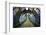 Pedestrian Bridge over the Freeway-Zholobov Vadim-Framed Photographic Print