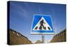 Pedestrian Crossing in Longyearbyen-Paul Souders-Stretched Canvas