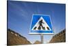 Pedestrian Crossing in Longyearbyen-Paul Souders-Stretched Canvas