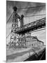 Pedestrian Suspension Bridge-null-Mounted Photographic Print