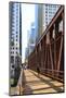 Pedestrians Crossing a Bridge over the Chicago River, Chicago, Illinois, United States of America-Amanda Hall-Mounted Photographic Print