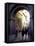 Pedestrians Entering Archway, Lucca, Italy-Merrill Images-Framed Stretched Canvas