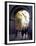 Pedestrians Entering Archway, Lucca, Italy-Merrill Images-Framed Premium Photographic Print