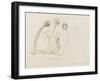 Pedicellina Belgica-Philip Henry Gosse-Framed Giclee Print