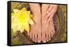 Pedicure and Manicure Spa with Beautiful Flowers-BVDC-Framed Stretched Canvas