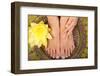 Pedicure and Manicure Spa with Beautiful Flowers-BVDC-Framed Photographic Print